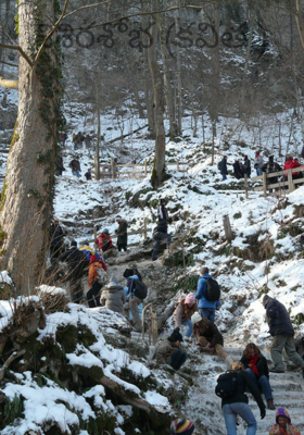 శిశిరశోభ (కవిత )