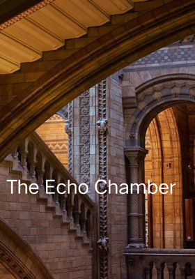 The Echo Chamber
