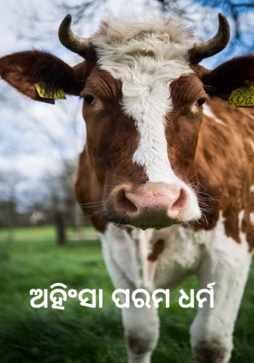 ଅହିଂସା ପରମ ଧର୍ମ