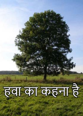 हवा का कहना है