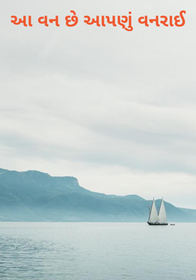 આ વન છે આપણું વનરાઈ
