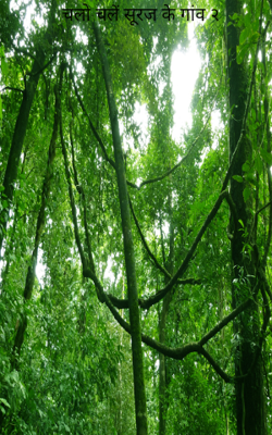 चलो चलें सूरज के गांव २ कवी-श्री शिवनारायण जौहरी व