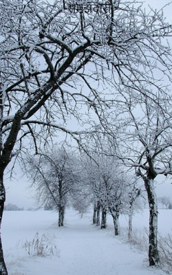 समझदारी