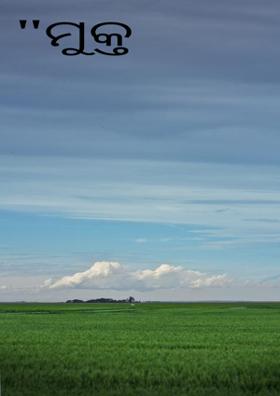 "ମୁକ୍ତ ଆକାଶ"