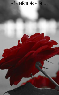 मेरे सांवरिया, मेरे श्याम .......