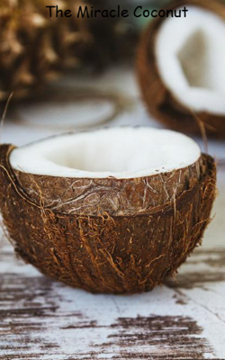 The Miracle Coconut