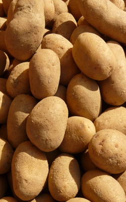 Potatoes, Eggs, And Coffee Beans