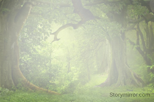 तुम हकीकत नहीं हो 
  हसरत हो 
जो मिले खूब में बही 
दौलत हो ,
किस लिए देखती हो 
  आइना 
  तुम तो खुदा से वी 
ज्यादा खूब सूरत हो ।।