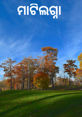 ମାଟିଲଗ୍ନା