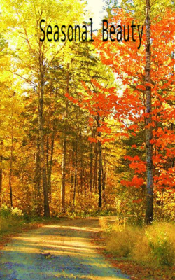 Seasonal Beauty