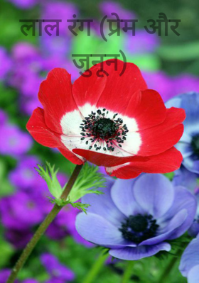 लाल रंग (प्रेम और जुनून)