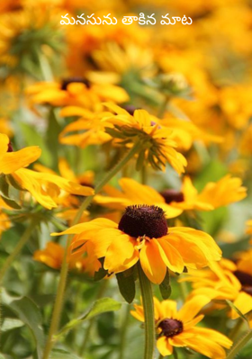 మనసును తాకిన మాట