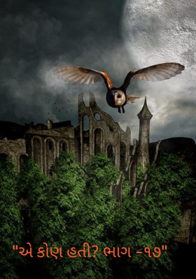 એ કોણ હતી - ૧૭