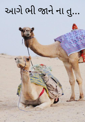 આગે ભી જાને ના તુ -3