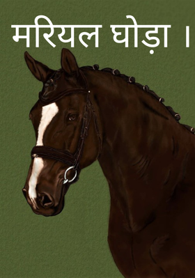 मरियल घोड़ा ।