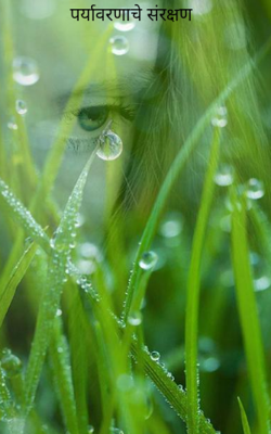 पर्यावरणाचे संरक्षण