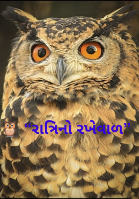🦉 “રાત્રિનો રખેવાળ”