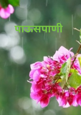 पाऊसपाणी