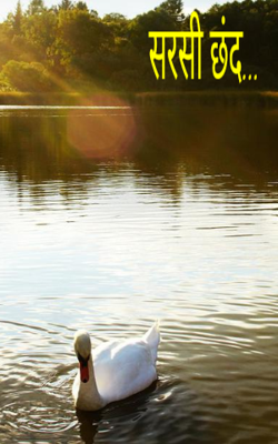 सरसी छंद...