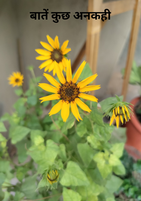 बातें कुछ अनकही