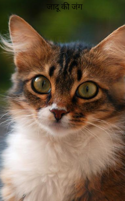 जादू की जंग