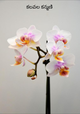 కలవల కన్మణి