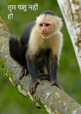 तुम पशु नहीं हो
