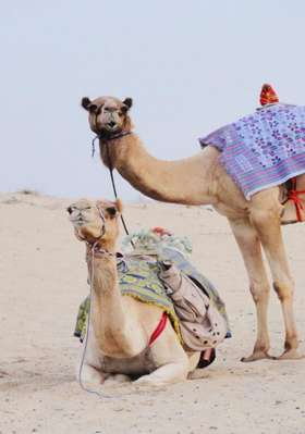 ବନ୍ଧୁତା