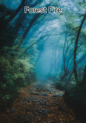 Forest Fire