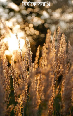 নির্বাকে সমাপ্তি