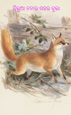 ବିଲୁଆ ନନାର ଦିଲ୍ଲୀ ସହର ବୁଲା