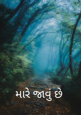મારે જાવું છે