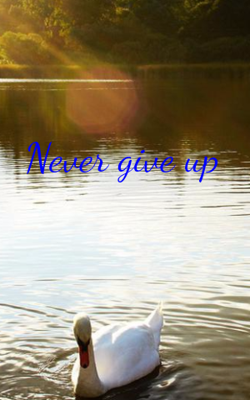 Never Give Up