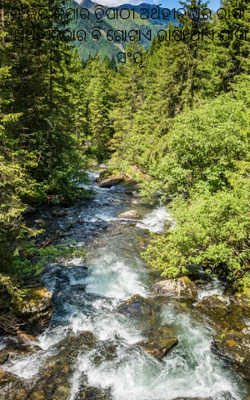 ଅର୍ଥହୀନତାର ଭାଷା