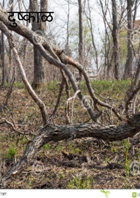 दुष्काळ