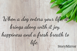When a dog enters your life, it brings along with it joy, happiness and a fresh breath to life. 
