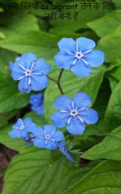 हम स्त्रियाँ as a grant लेने के लिए नहीं बनी हैं