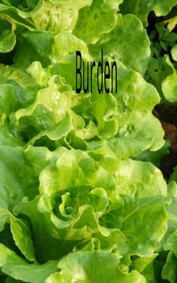 Burden