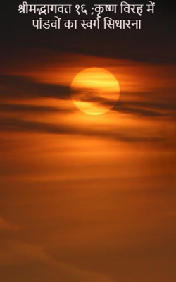 श्रीमद्भागवत १६ ;कृष्ण विरह में पांडवों का स्वर्ग सिधारना
