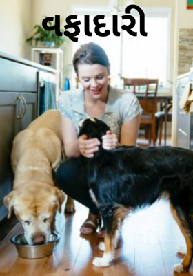 વફાદારી