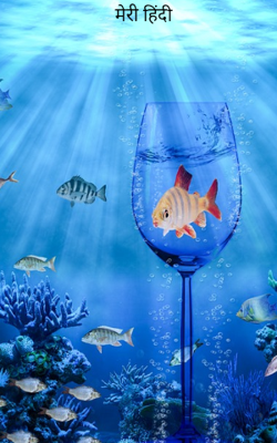 मेरी हिंदी