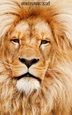 सकारात्मक ऊर्जा