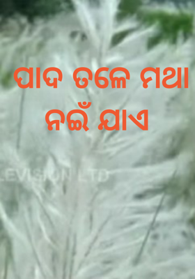 ପାଦ ତଳେ ମଥା ନଇଁ ଯାଏ