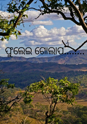 ଫୁଲେଇ ଗୋଲାପ