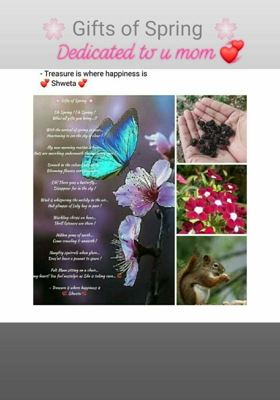 🌸 Gifts of Spring  🌸