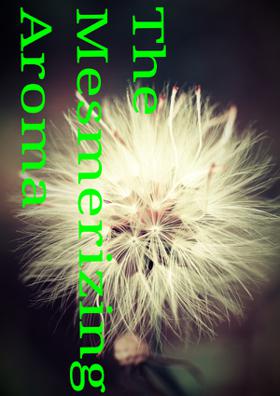 The Mesmerizing Aroma