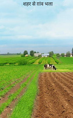 शहर से गांव भला