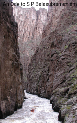 An Ode to S P Balasubramaniam