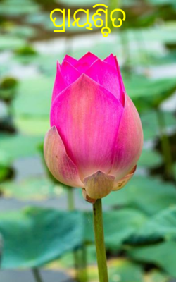 ପ୍ରାୟଶ୍ଚିତ