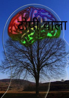 टोपी वाला